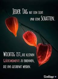 Pin Von Viola Schoechlin Auf Lebensweisheiten Zitate Nach Emotionen Spruche Lebensweisheiten Spruche