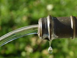 Das blut rann sogar so stark, dass die ganze brust mit. Wasser Zur Wundreinigung Bei Pferden Ist Oft Die Beste Option Propferd At Osterreichs Unabhangiges Pferde Portal News Aktuelle News