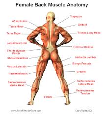 A sprain is when your ligaments (bands of tissue that hold your bones together) are. Pin On Gym