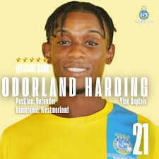 Harbour View Football Club...