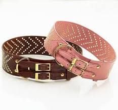 Page Not Found Studded Leather Dog Collar Leather Dog Collars Dog Collar