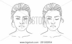 face chart makeup vector photo free trial bigstock