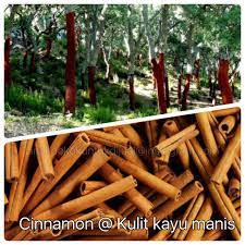 Kayu manis mengandung zat kimia alami yang disebut cinnamaldehyde, yang menurut penelitian meningkatkan hormon progesteron dan menurunkan produksi testosteron pada wanita. Facebook