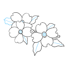 Palest pink with a deep pink centre and semi dwarf habit makes this a unique and delicate addition to cosmos. How To Draw Dogwood Flowers Really Easy Drawing Tutorial