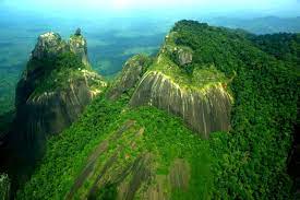 Jan 11, 2019 · on the northern coast of south america, suriname is one of the three small countries that usually get forgotten by those thinking about the different countries on the continent. Surinam Archives Key Caribe