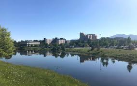 Patient-Centered Insights