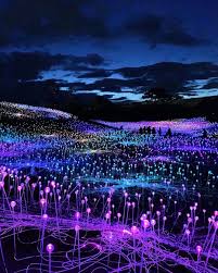 La Bucket List On Instagram Have You Been To The Bruce Munro Field Of Light Yet 15 Ac Fantasy Landscape Beautiful Landscapes Beautiful Places To Travel