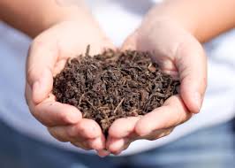 Maybe you would like to learn more about one of these? Landscaping Supplies In Poughkeepsie Ny Adams Landscaping