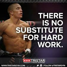 Georges St Pierre Gsp Pinterest
