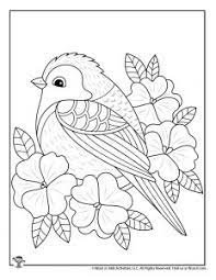 True enough, these flower coloring pages introduce a variety of flowers to your child, which teaches him how to recognize the different species of flowers. Spring Adult Coloring Pages Woo Jr Kids Activities