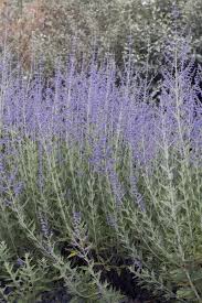 Pin Auf Outdoor Living