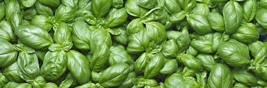 Dieta mediterranea menu settimanale 1500 calorie. Metodo Lertola La Dieta Mediterranea Con Soli Cibi Italiani Starbene