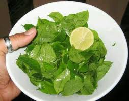 Hojas De Jocote Con Limon Salvadorian Food Salvadoran Food Salvador Food