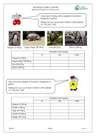 Camels recognise poisonous plants growing in the. Rounding Numbers The Weight Of Animals Measuring And Time Worksheets For Year 4 Age 8 9 By Urbrainy Com