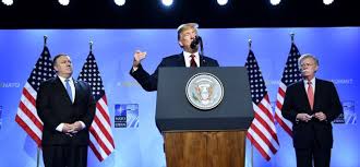 Résultat de recherche d'images pour "trump pepe"