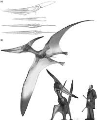 Survival evolved and the first rideable flying creature introduced to the game. The Giant Pterosaur Pteranodon A Marsh S 1884 Reconstruction Of Download Scientific Diagram
