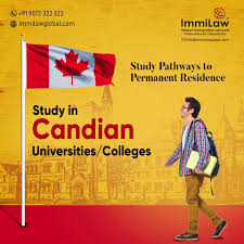 Canada Immigration Consultants In Kochi Kerala Education Poster Design Study Program Education Poster