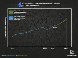 Olive Cultivation Is The Best Solution For Pakistan S Economy Here S Why