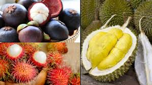 Ini Lho Kalender Musim Buah Di Indonesia Dari Mangga Hingga Durian Ada Jadwal Panennya