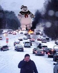 Image result for raleigh snowmageddon