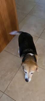 @DantesWolf01's video Tweet