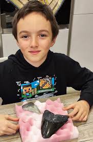 Dreams come true...! Almost two months ago I took my family for a vacation  in Englewood..my oldest son Lorenzo started to search for shark teeth and  became a super-fan of this new