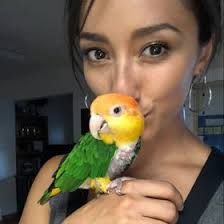 Paulina Munoz (plinamunoz)