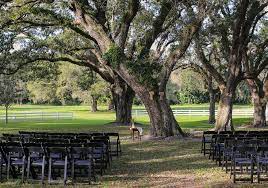 Robbins Lodge Park In Davie Fl Www Capturedbeautyphotos Com Beach Wedding Photographer Palm Beach Wedding Tree Photography