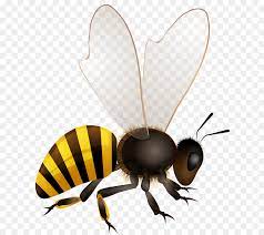 Honey Bee Vector Graphics Royalty Free Beehive Bee Png Download Bee Vector Graphics Honey Bee