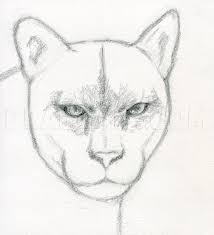 Check spelling or type a new query. How To Draw A Realistic Puma Mountain Lion Step By Step Drawing Guide By Finalprodigy Dragoart Com