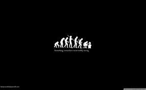 2560x1440 Funny Hd Wallpaper Funny Wallpapers Crazy Wallpaper Desktop Wallpaper