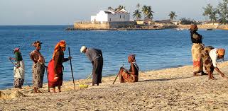 Mozambique situation report, 31 december 2020. Whatever The Project An Unforgettable Adventure In Mozambique