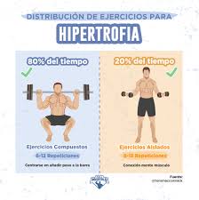 Ejercicios De Aislamiento Vs Ejercicios Multiarticulares Fullmusculo Ejercicios De Entrenamiento Rutinas De Entrenamiento Consejos De Entrenamiento