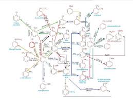 Organic Chemistry Chart Organic Chemistry Chart Basic