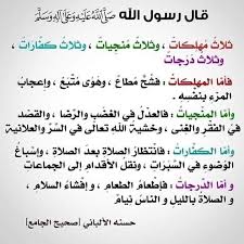 pin by ali on قطوف دعويه islamic quotes quotes ahadith
