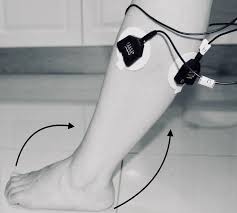 Seated knee extension/flexion degrees of load range. Knee Extension With Flexion Dorsiflexion Download Scientific Diagram