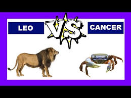 Pulses lentils, chickpeas, beans, peas, kidney beans and even soya beans are a great source of plant protein. Leo Vs Cancer Who Is The Strongest Zodiac Sign Youtube