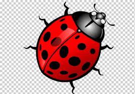 Ladybird Cartoon Ladybugs Logo Cartoon Ladybird Png Klipartz All png & cliparts images on nicepng are best quality. ladybird cartoon ladybugs logo