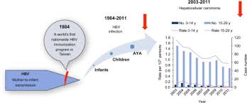 In the united states, liver cancer ranks as the fifth most common cause of cancer death in men, the ninth in women. References In Changing Incidence Patterns Of Hepatocellular Carcinoma Among Age Groups In Taiwan Journal Of Hepatology