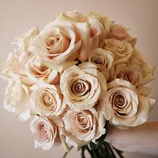 Fresh flowers and bouquets canada. Wholesale Quicksand Ivory Cream Roses Bulk Rose Fiftyflowers