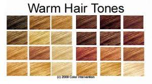 Hair Color Chart Warm Skin Tones Hair Colorful