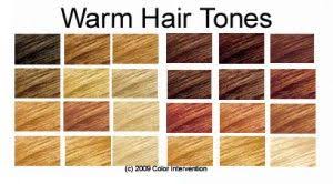 hair color chart warm skin tones hair colorful