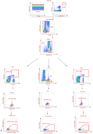 See insights on cactus feeders including office locations, competitors, revenue, financials, executives, subsidiaries and more at craft. Validation Of A Flow Cytometry Based Method To Quantify Viable Lymphocyte Subtypes In Fresh And Cryopreserved Hematopoietic Cellular Products Cytotherapy