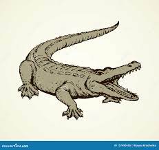 Нарисованный крокодил