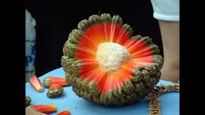 Here are a dozen, ripe. Top 10 Tropical Fruits You Ve Never Heard Of Youtube
