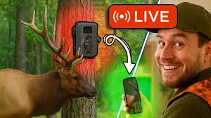 THE TRAIL CAM GAME JUST CHANGED