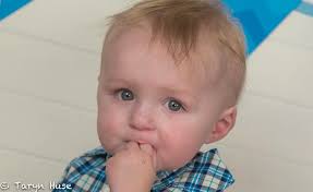 Taryn Huse Photography