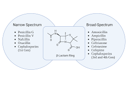 Image result for Extended Spectrum Penicillin