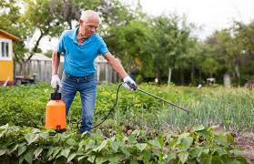 Try controlling these pests with the following approaches, which are safe for people, pets and beneficial insects like bees and lady beetles. Best Insecticide For Vegetable Garden Gardening Tips And Tricks