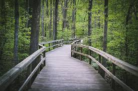What You Need To Know About Living In Greensboro N C Storage Com Greensboro Moving To North Carolina Outdoor